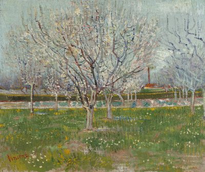 Obstgarten in Blüte (Pflaumenbäume) von Vincent van Gogh